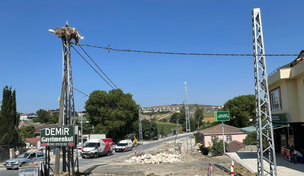 Leylek yavruları için yol inşaatı durduruldu!